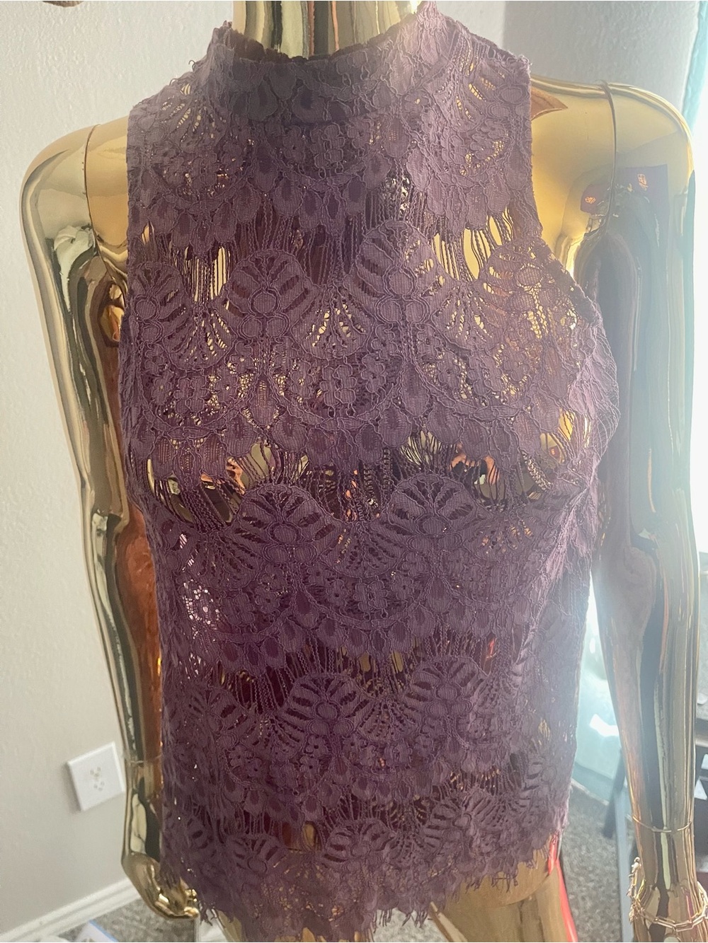 Sleeveless High-Neck Lace Top in Plum